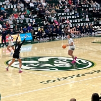 Certificate in Sports Statistics and Analytics